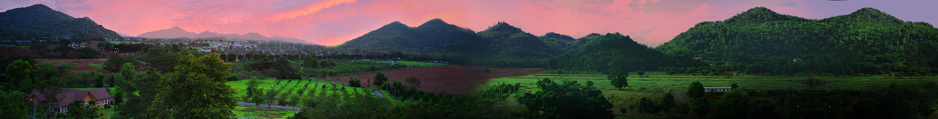 land-2